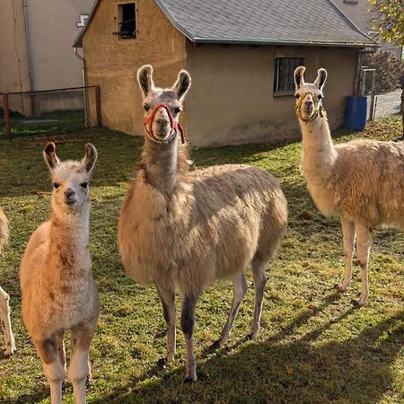 Ferienwohnungen Satkula Crostwitz Exteriér fotografie