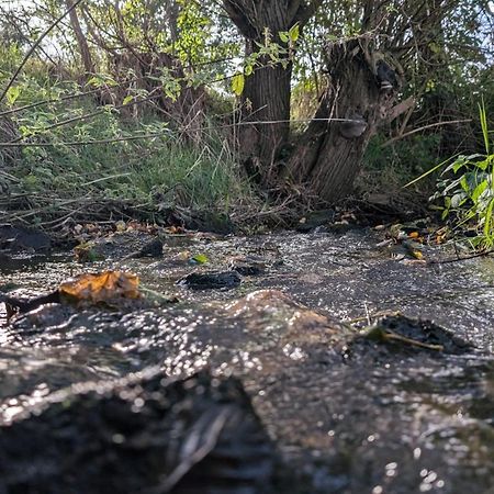 Ferienwohnungen Satkula Crostwitz Exteriér fotografie