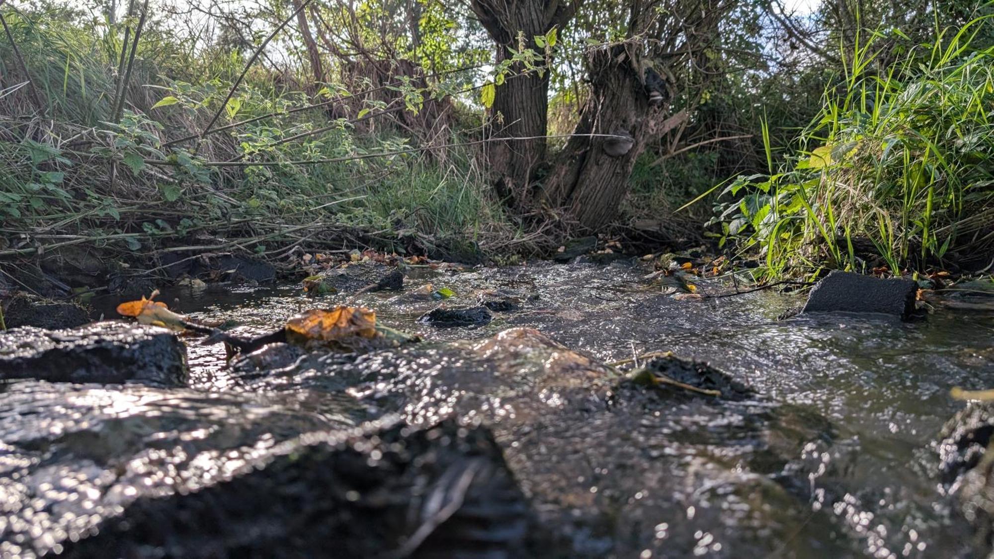 Ferienwohnungen Satkula Crostwitz Exteriér fotografie
